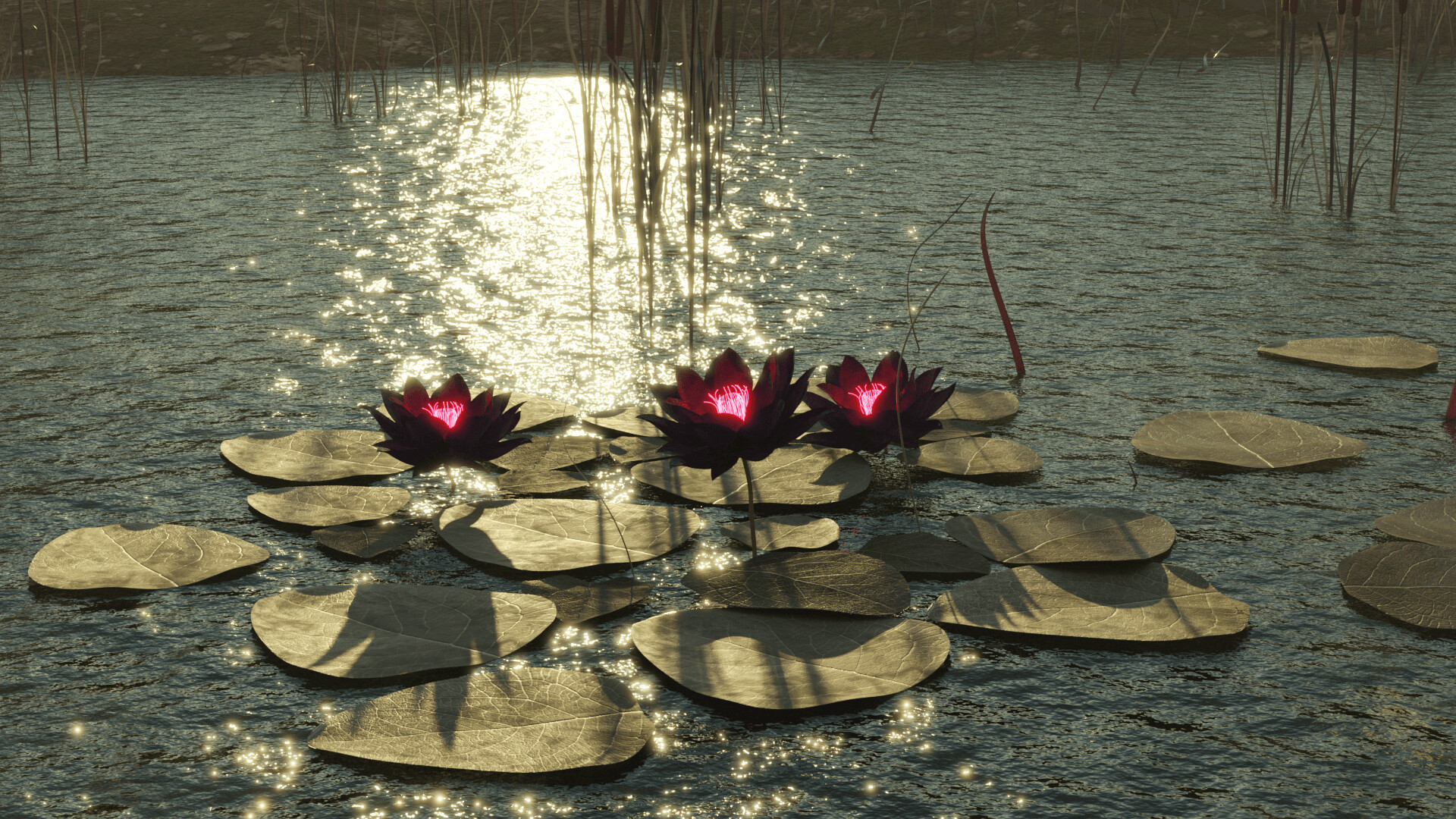 Three lotuses on water with sun reflection