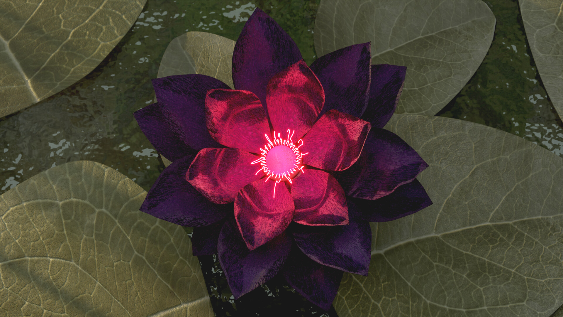 Top view on lily pads