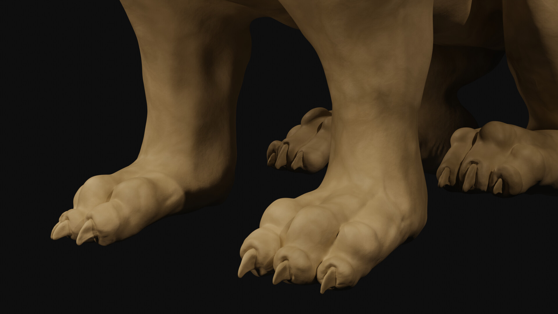 Paws detail